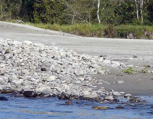 1467721351_0manas 1.jpg